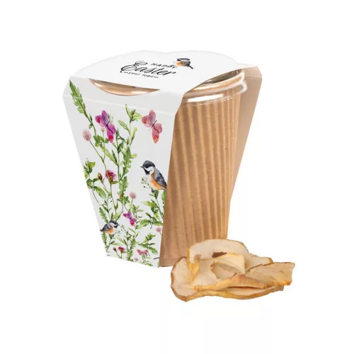 Apfelchips in umweltfreundlicher Verpackung 25 g