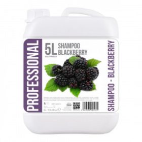 Sampon Black Berry, 5L