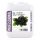 Shampoo Black Berry, 5L